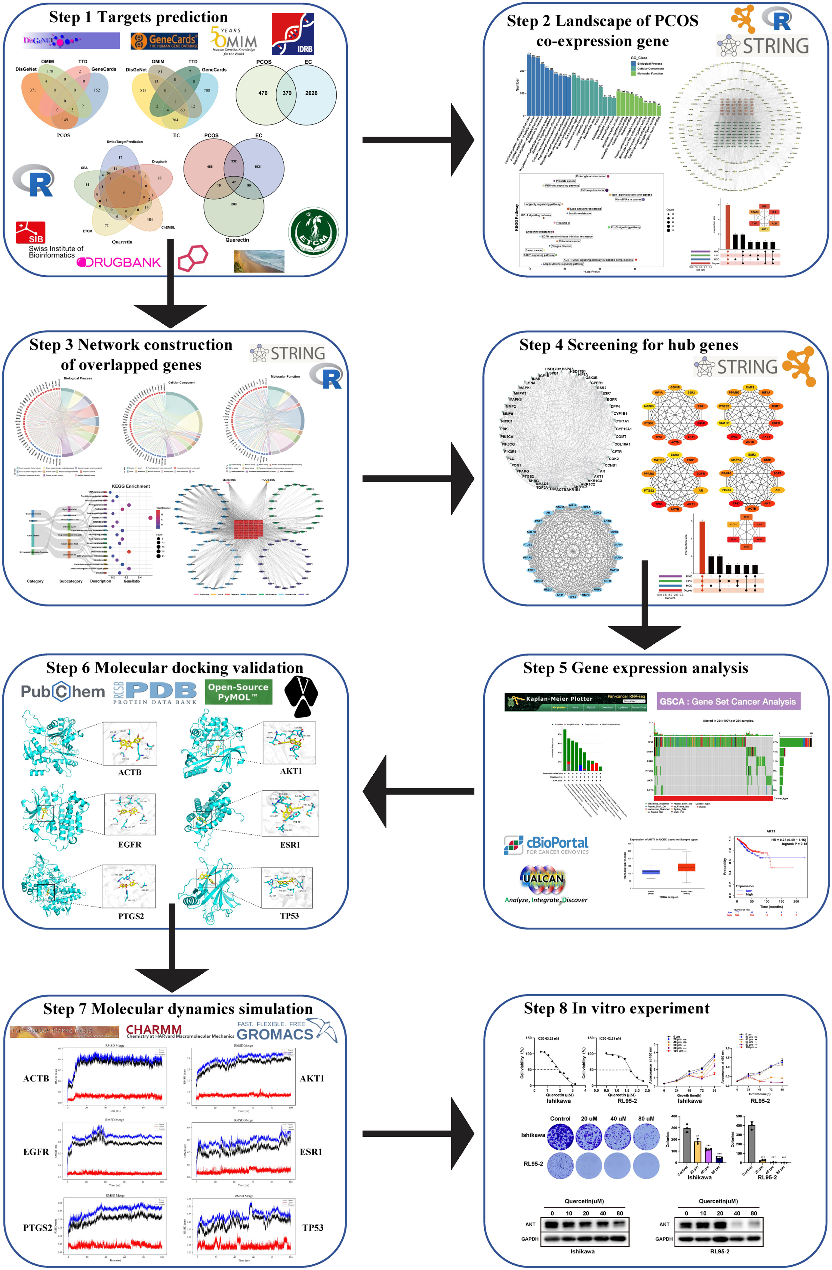IF:8.5，網(wǎng)絡(luò)藥理學(xué)+雙疾病王炸組合，分子模擬+濕實(shí)驗(yàn)雙重驗(yàn)證，高分賽道揭秘！
