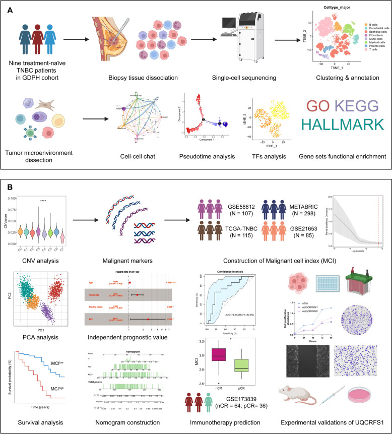 IF=13.5！巧用自測(cè)+公共數(shù)據(jù)，低成本撬動(dòng)高分成果！10+ Club 等你加入！