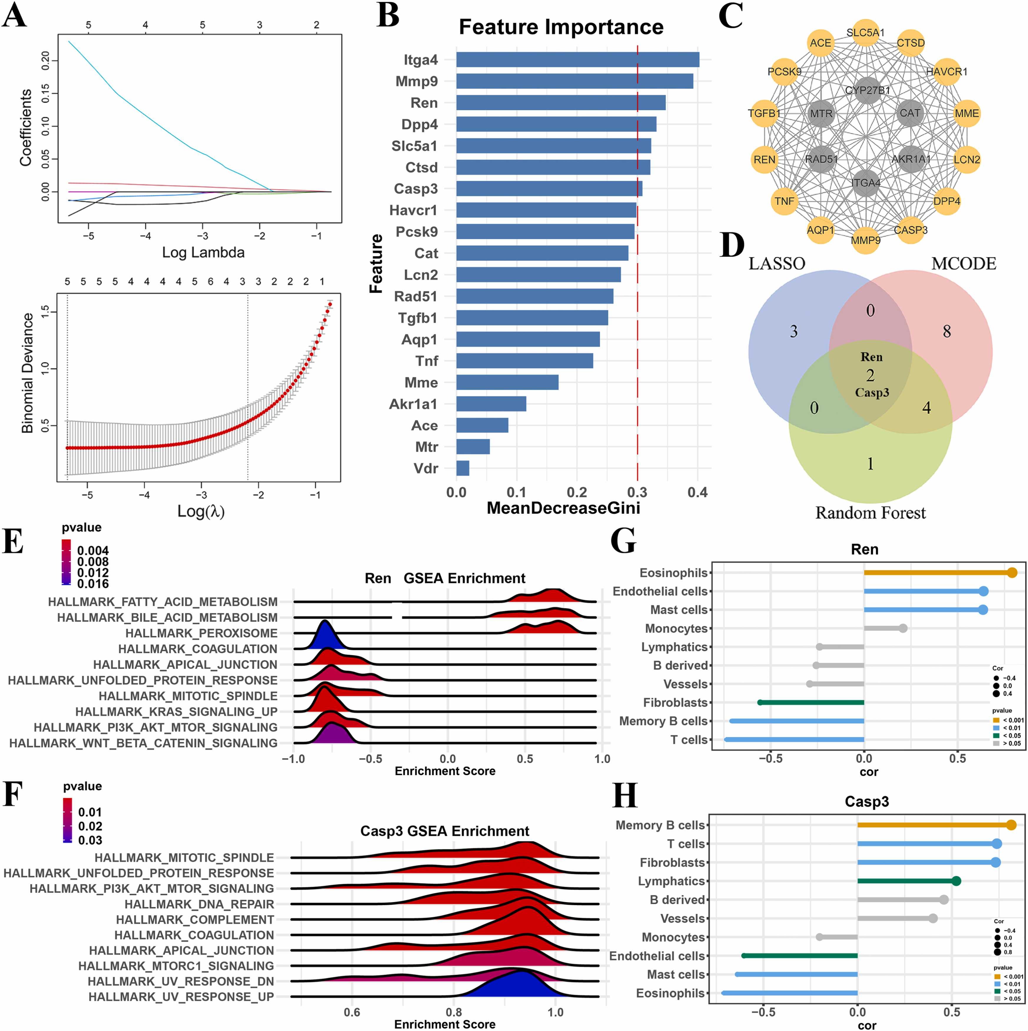 IF:6.1，網(wǎng)絡(luò)毒理學(xué)+機(jī)器學(xué)習(xí)揭示三聚氰胺和氰尿酸共暴露致腎損傷機(jī)制！
