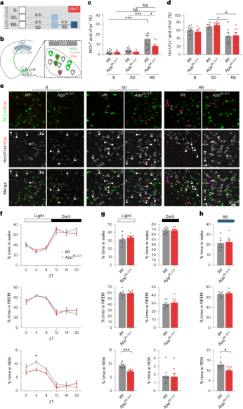 失眠之鼠：揭秘多平台水环境法构建睡眠剥夺小鼠模型