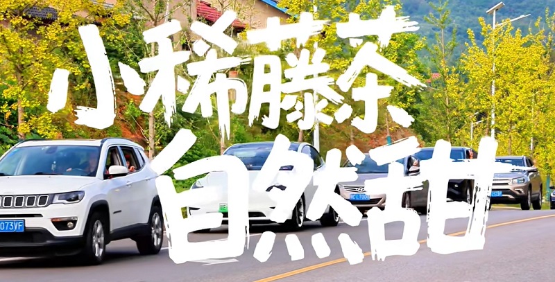 小稀藤茶X948夏嗨行动 | 山野夏日，回甘存档，一起浪翻今夏！