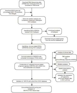 IF：5.9，生信套路解锁新疾病：多组学+机器学习双引擎驱动，3天出稿不是梦！