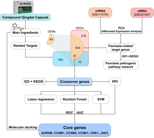 网络药理学+多组学+机器学习+动物实验，揭秘中药抗银屑病核心机制！