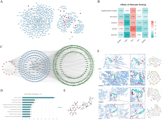 反向网络药理学+多组学+肠道菌群/RTK-PKCα轴，双重机制破解自身免疫性肾损伤难题！