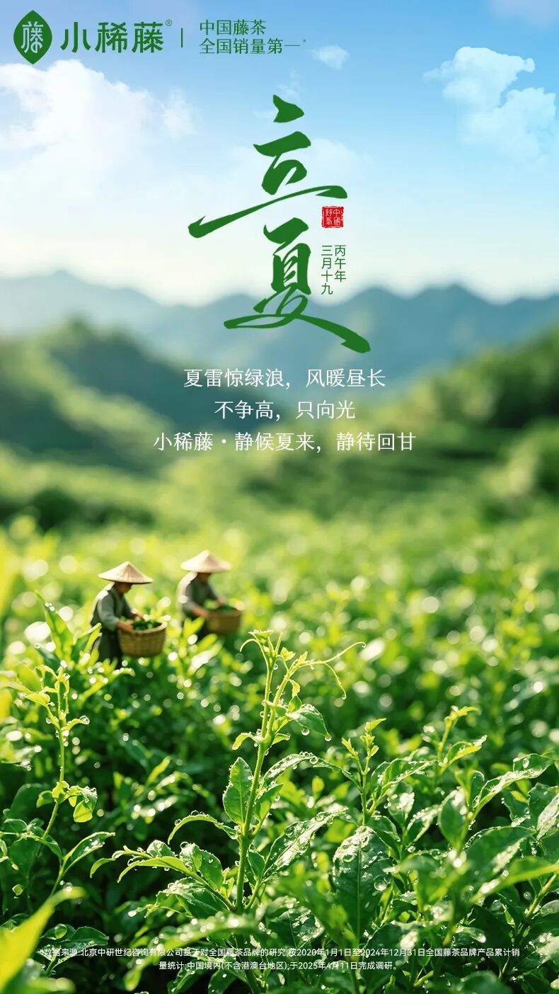 立夏｜不争高，只向光