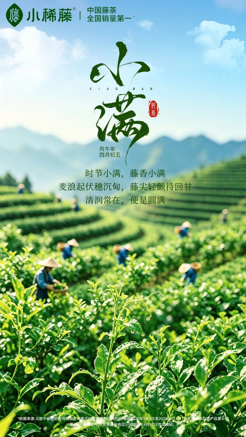小满｜风暖穗沉，藤香待收