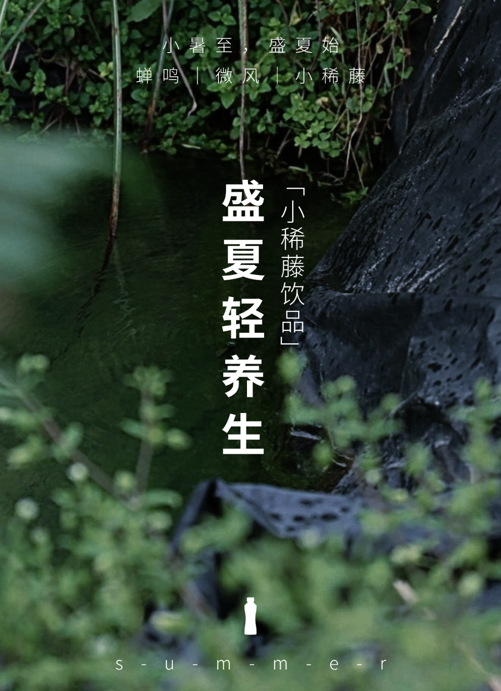 盛夏轻养生：小稀藤唤醒夏日活力！