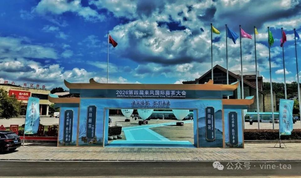一片藤叶富一方百姓：小稀藤的产业扶贫与乡村振兴实践