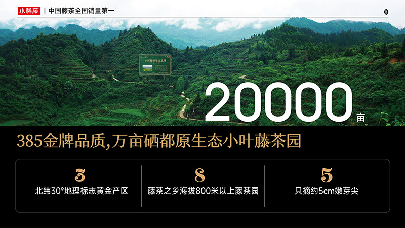 藤茶小稀藤如何做好原料：两万亩富硒基地与5cm嫩芽尖
